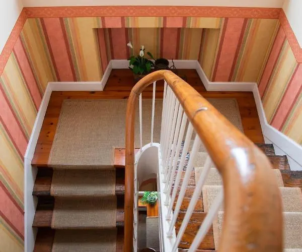 Fresnedo سولاريس